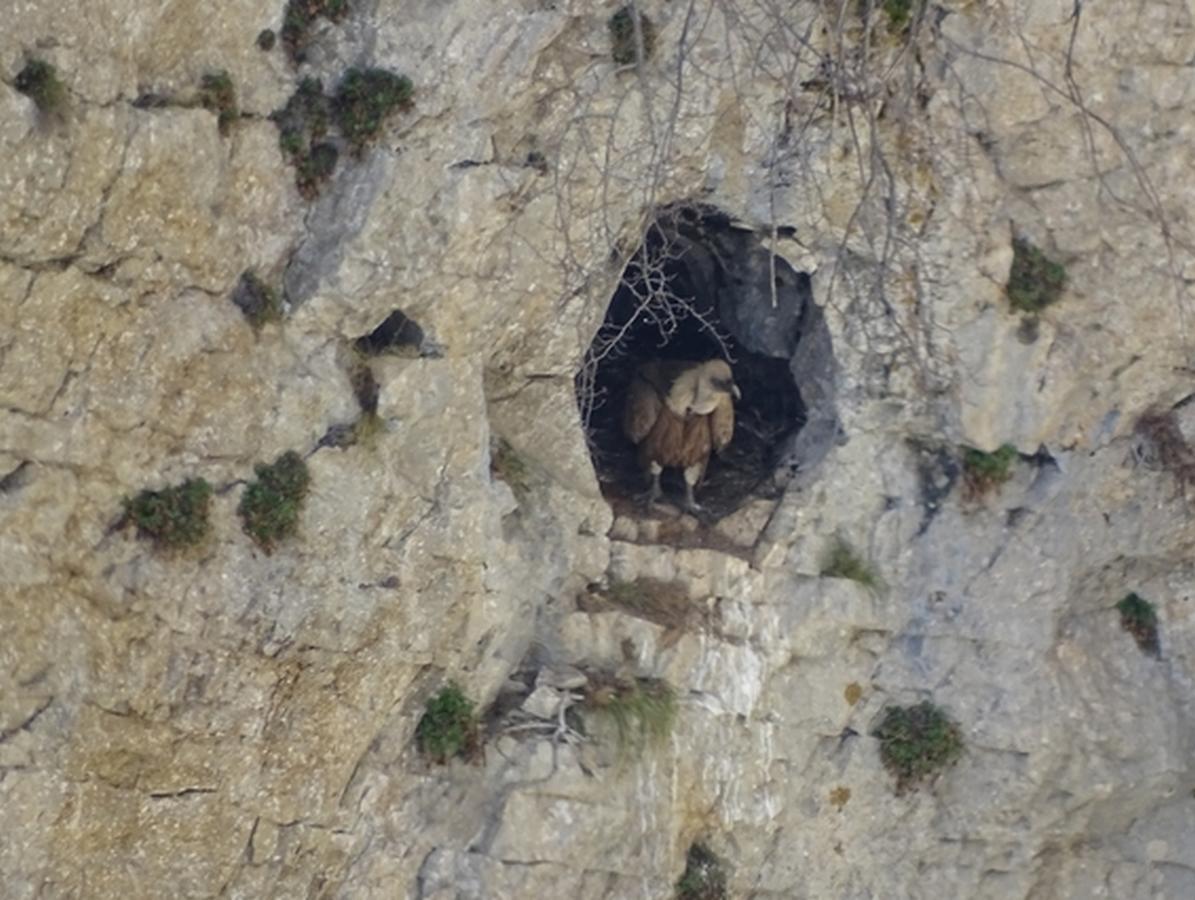 Le Sareymond Panzió Menée Kültér fotó